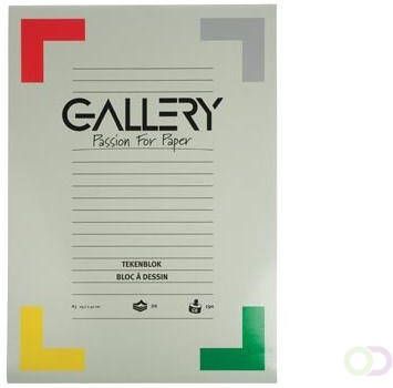 Gallery tekenblok extra zwaar houtvrij papier 190 g mÃÂ² ft 29 7 x 42 cm (A3) blok van 20 vel